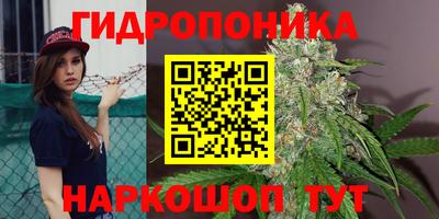 синтетический гашиш Будённовск