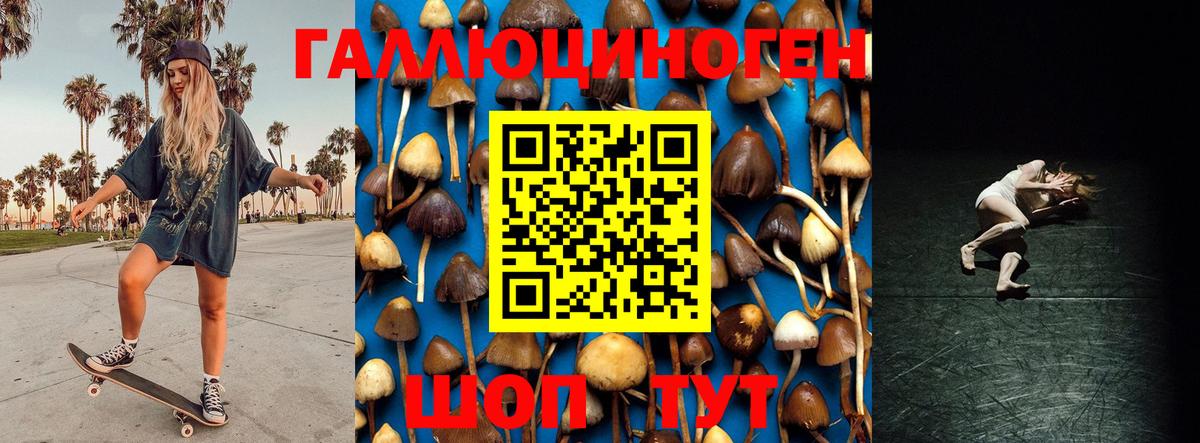 Галлюциногенные грибы ЛСД  Вход с VPN  Моршанск 